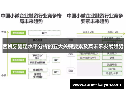 西班牙男足水平分析的五大关键要素及其未来发展趋势