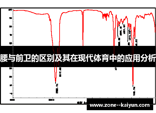 腰与前卫的区别及其在现代体育中的应用分析