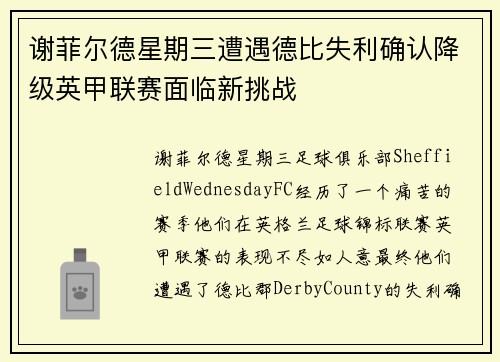 谢菲尔德星期三遭遇德比失利确认降级英甲联赛面临新挑战 谢菲尔德星期三遭遇德比失利确认降级英甲联赛面临新挑战